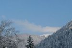 IMG_0013kl